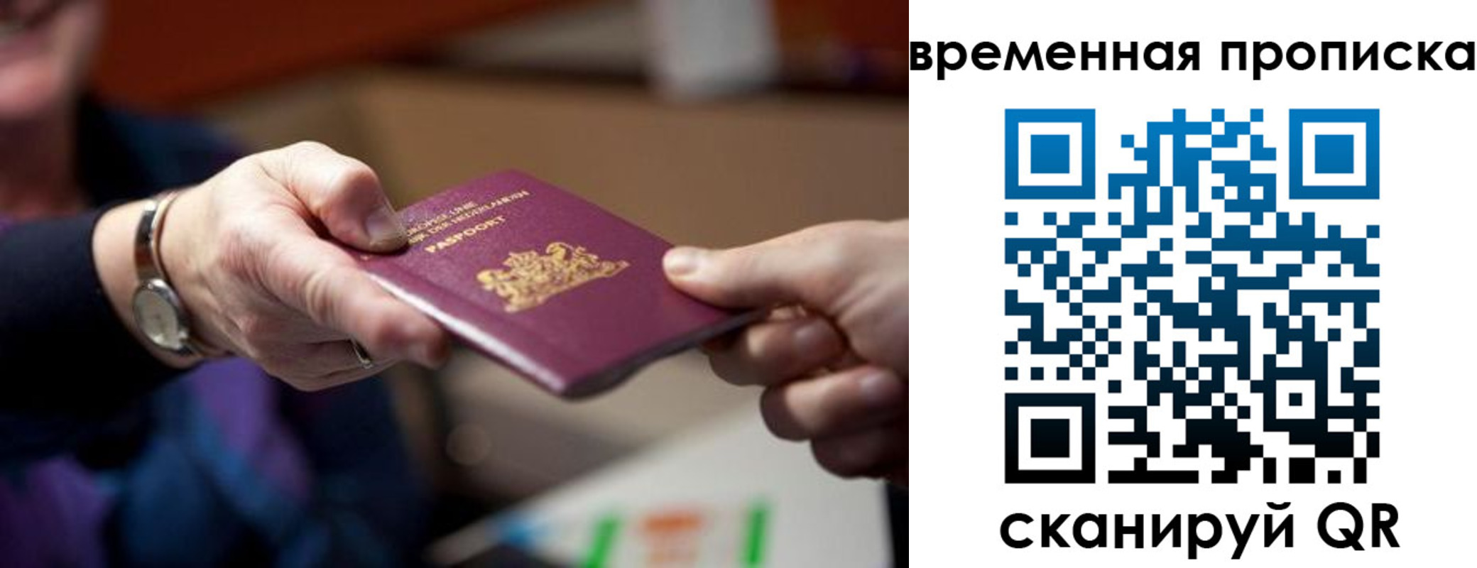 временная регистрация для всех в Мурино