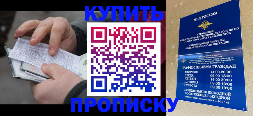 временная регистрация недорого в Мурино